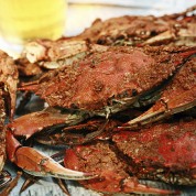 Coastal Food Tour Coastal Food Tour